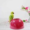 Parrot with Tea Light - Green