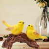 yellow-bird-pair-live.jpg