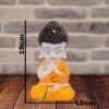 Baby namaste monk orange