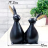 black rabbit pair